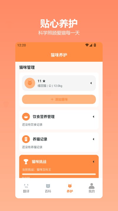 快乐小猫 快乐小猫