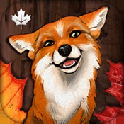 Indian Summer(暖秋物语)