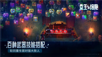 重生细胞bilibili版 重生细胞bilibili版