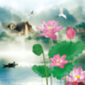 清新荷塘动态壁纸(Lotus Pond II)