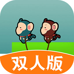 双人游戏
