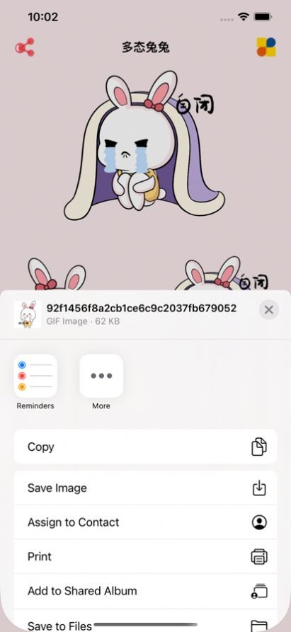多态兔兔 多态兔兔