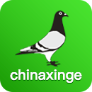 中信网-信鸽信息网