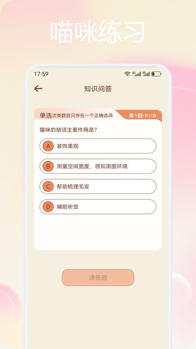 喵练 喵练