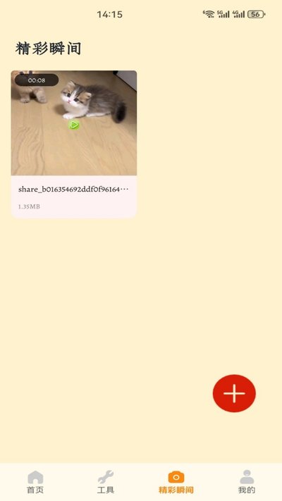 龙猫合合