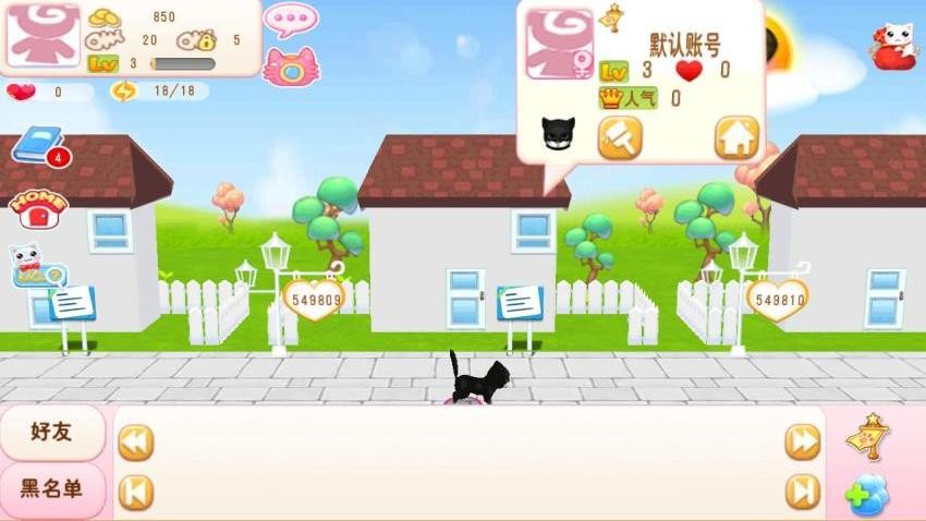 晴天小猫 晴天小猫