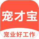 宠才宝