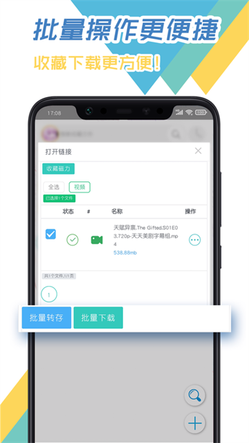 飞鸟下载器 飞鸟下载器