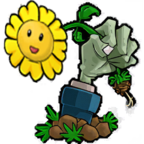 植物大战僵尸双人对战版