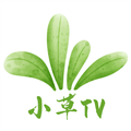 小草TV盒子
