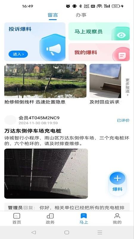 白菜心 白菜心