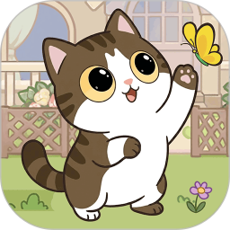 猫猫日记